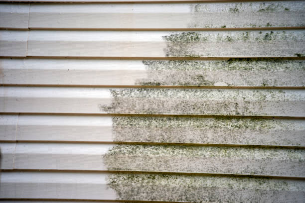 Professional Siding Installation & Repair in Citronelle, AL