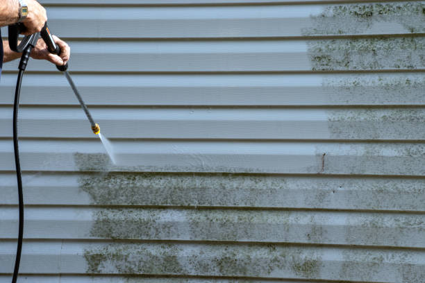 Best Fascia and Soffit Installation  in Citronelle, AL