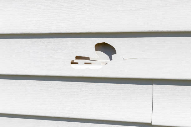 Best Composite Siding  in Citronelle, AL