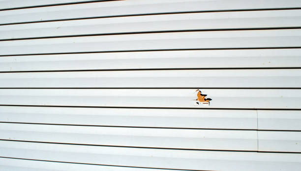 Siding for New Construction in Citronelle, AL