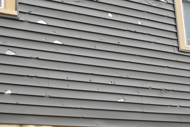 Best Stone Veneer Siding  in Citronelle, AL