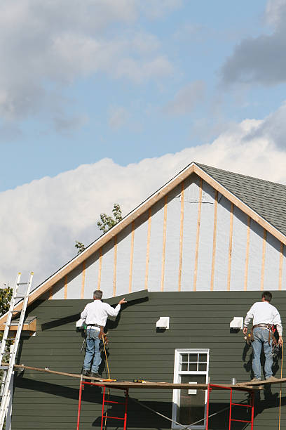 Best Residential Vinyl Siding Installation  in Citronelle, AL