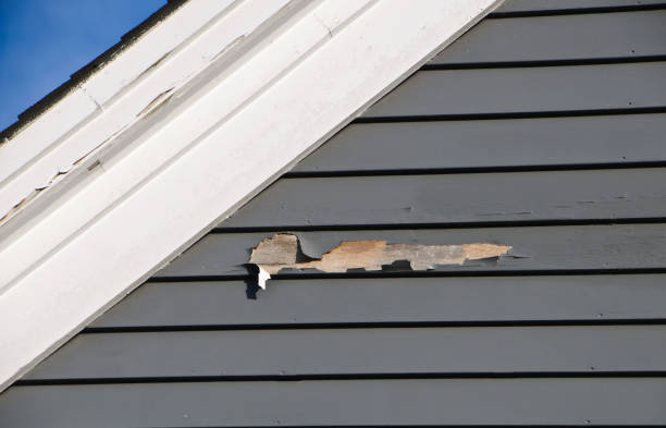 Best Siding Removal and Disposal  in Citronelle, AL